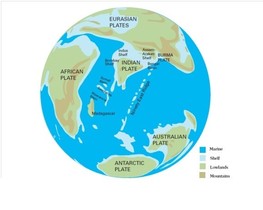 50,000,000年前 
