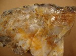 opalized wood