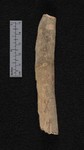 CUL 1
